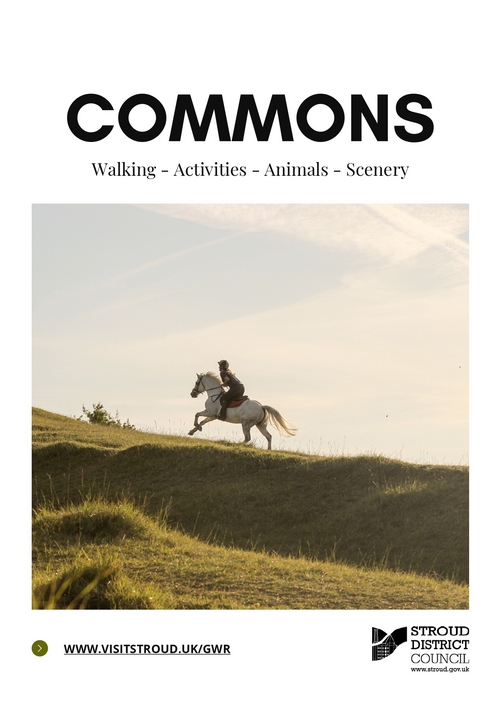 Commons